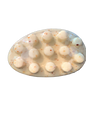Spa Bar Soap: Seaweed